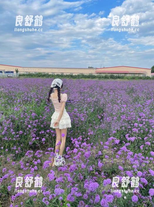 166fun 166fun带你直达最新八卦,轻松吃瓜不停歇!