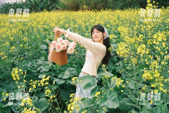 17吃瓜 17吃瓜回家的路:观看美味,享受回家的每一步