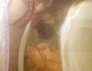 51吃瓜今日吃瓜必吃，点击链接畅玩永不迷路动漫世界