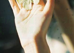 不容错过！51吃瓜今日免费吃瓜，必吃动漫游戏最新资讯！