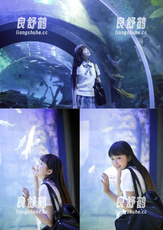 最新51黑料网苹果版，带你畅游在吃瓜的天堂！