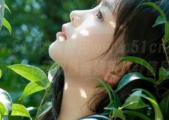 如何使用www.51cn的首页和app获取最新娱乐八卦信息