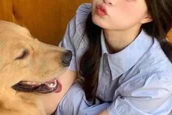 在线体验www.zztt333吃瓜神器，下载安装步骤详解