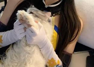 www51网站吃瓜链接全集，尽享爆料猛料和独家内幕