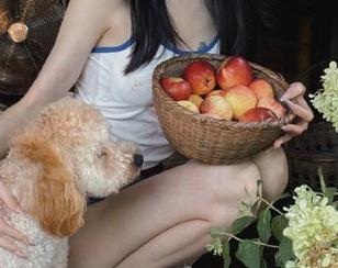 发现美味奇趣，加入“九一吃瓜中心网”，收藏每一次体验，分享你的故事！
