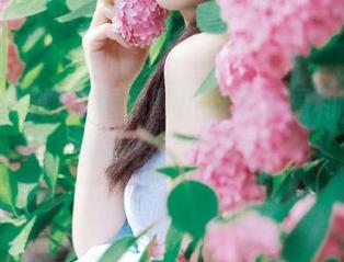 专属黑哥扒料登录福利，限时免费资源大放送