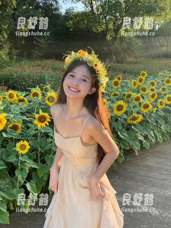 51黑料不打烊网页导航大全，吃瓜党必备神器