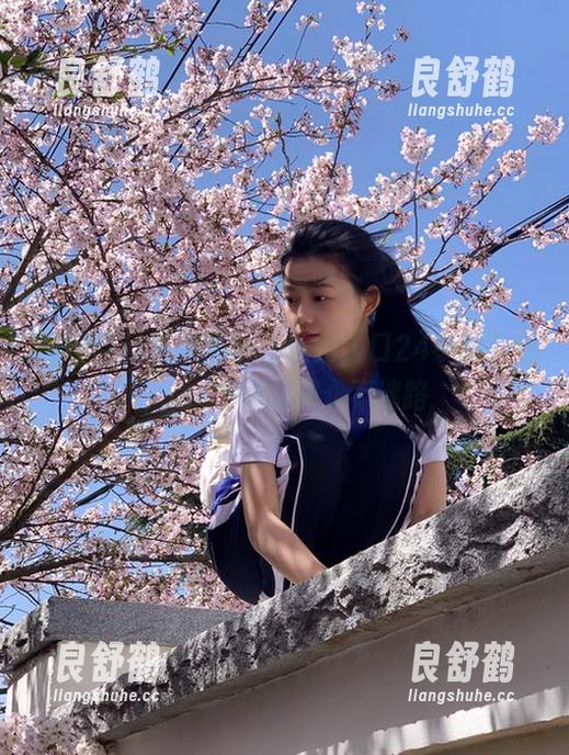 黑料社app官网入口24小时直达，ios用户访问永不迷路