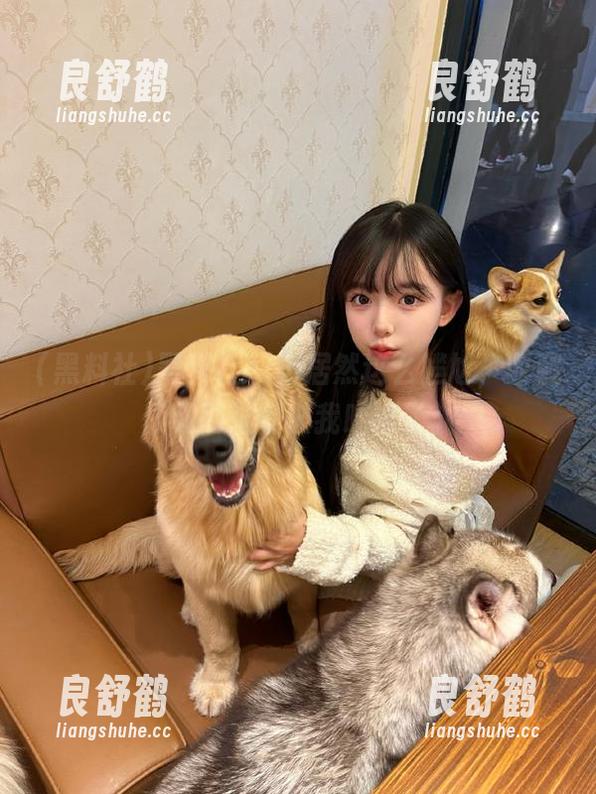 黑料社app居然这么尴尬，收藏和网址都被我吐槽了