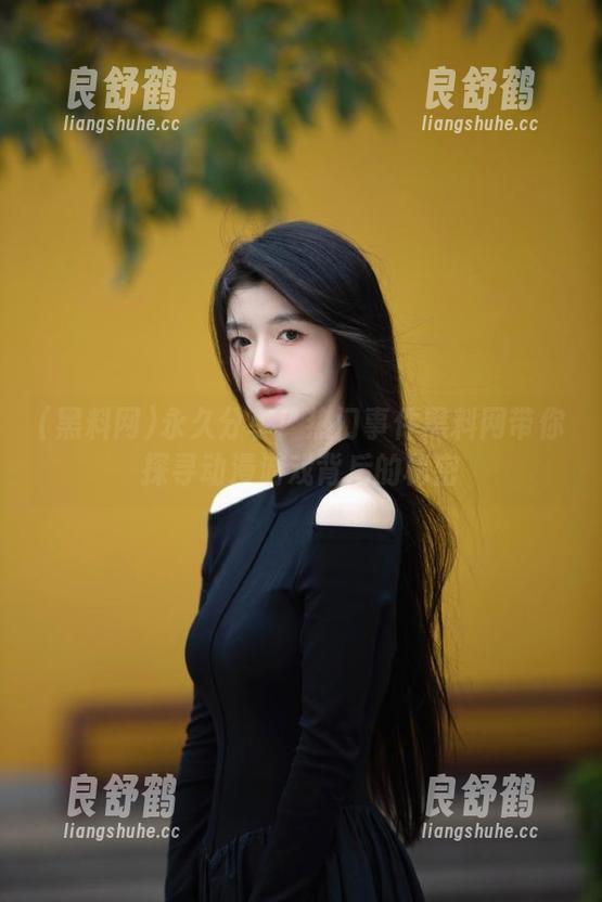 永久分享！热门事件黑料网带你探寻动漫游戏背后的秘密